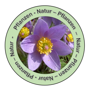 Logo-für-Pflanzen
